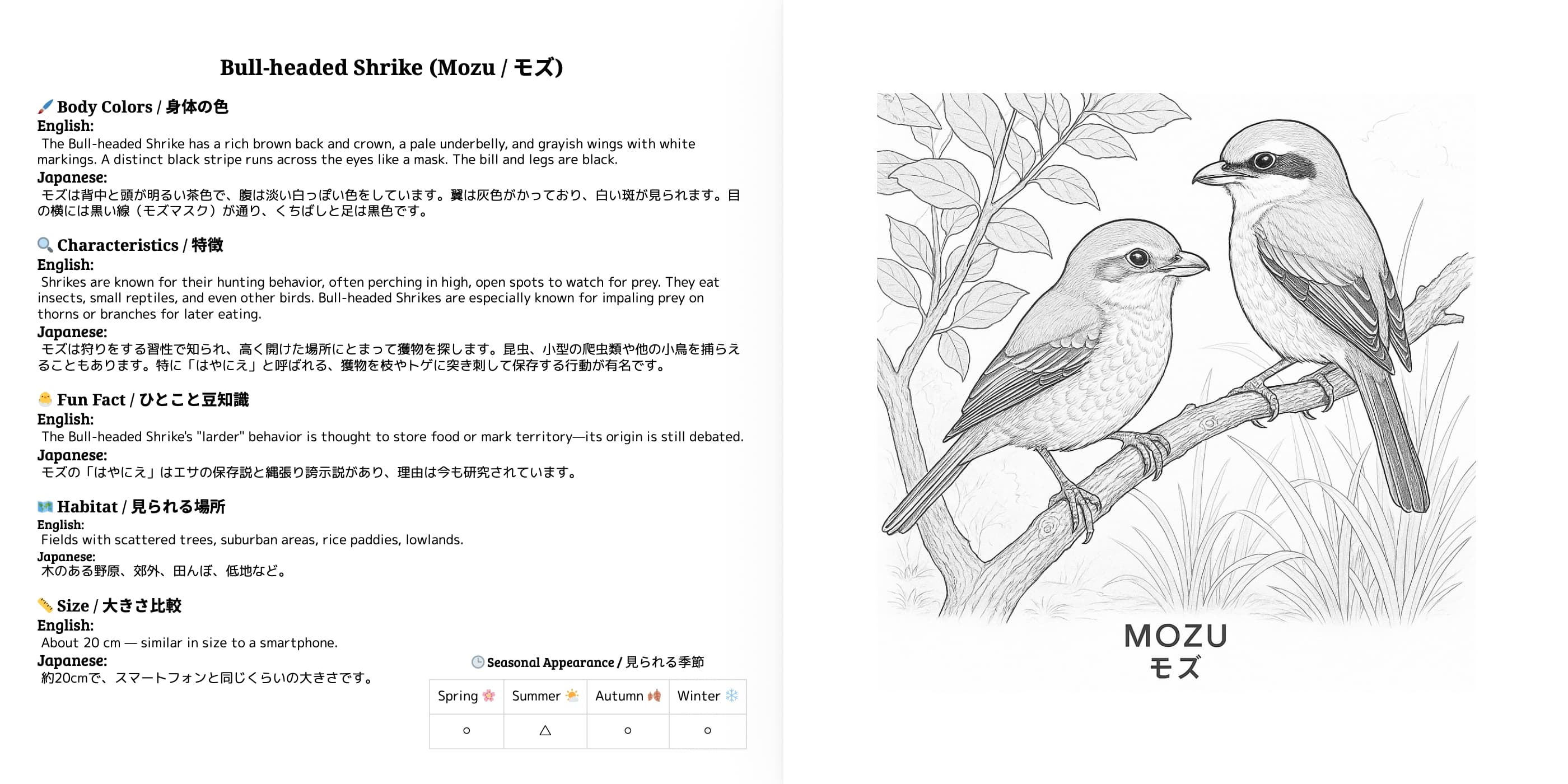 Japanese Wild Birds Series Vol.1 sample 3