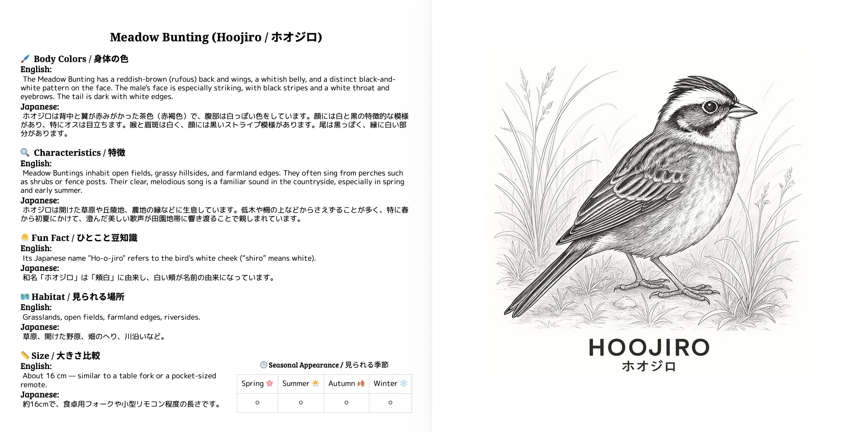 Japanese Wild Birds Series Vol.1 sample 4