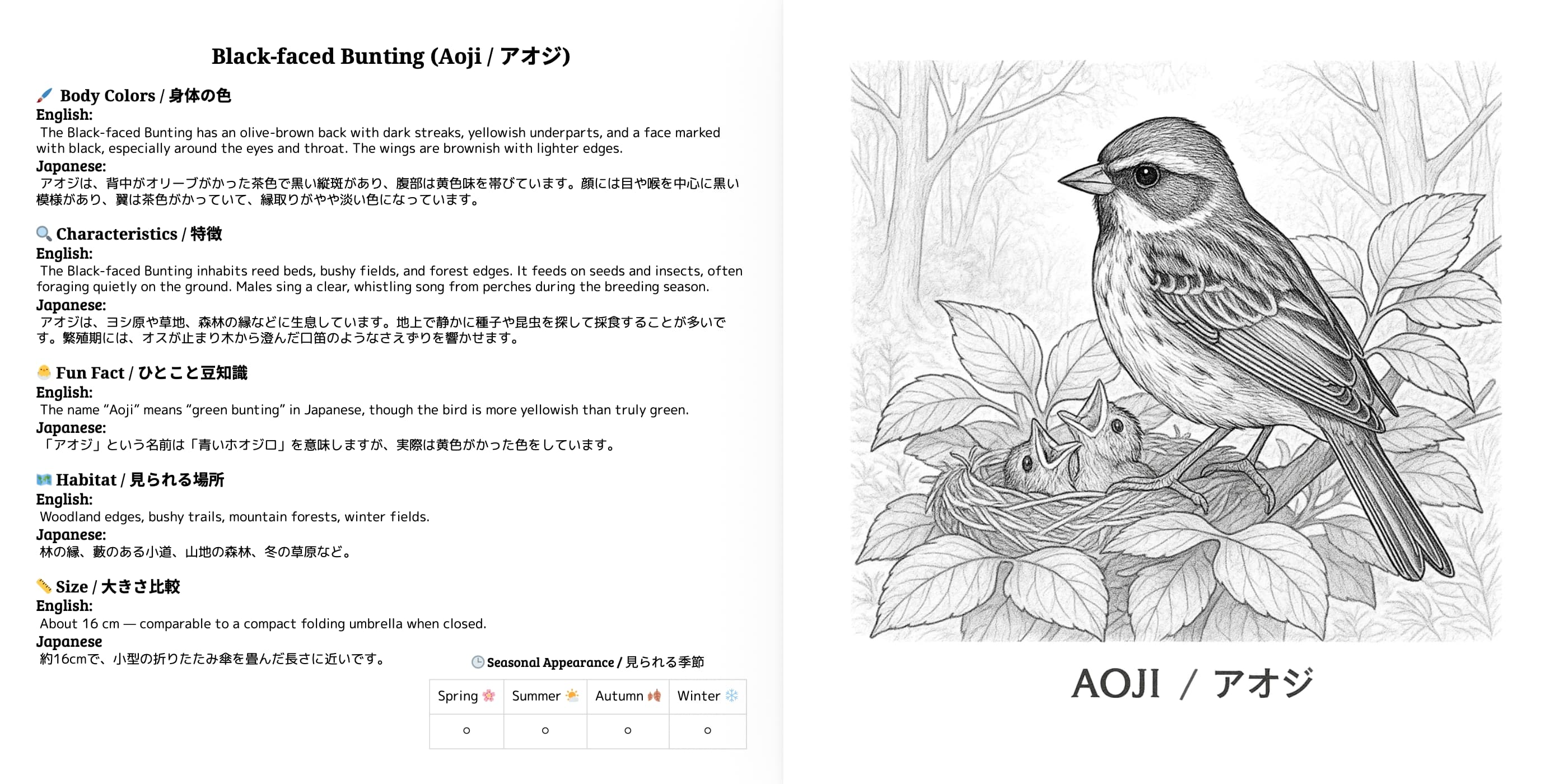Japanese Wild Birds Series Vol.2 sample 3