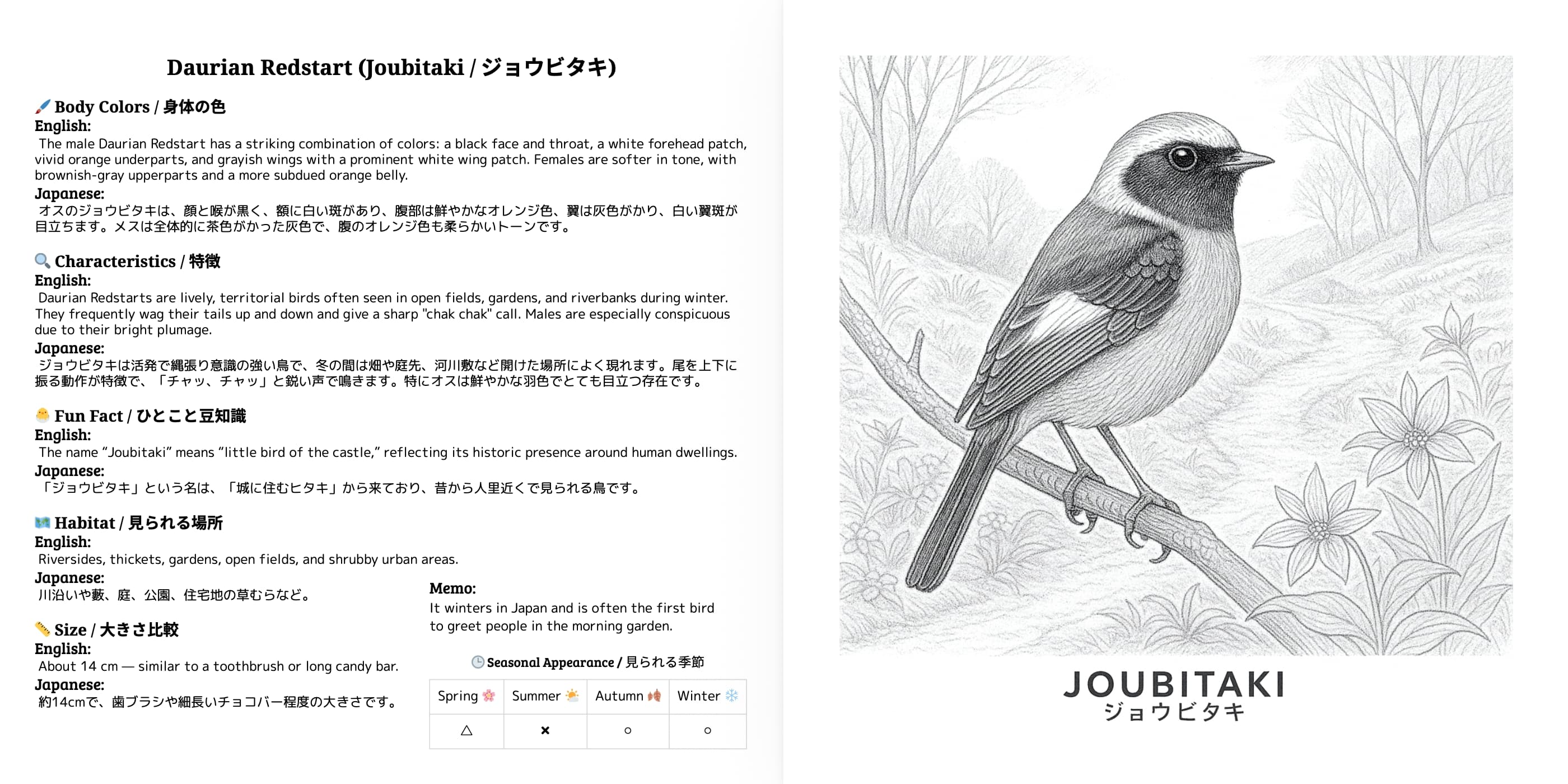 Japanese Wild Birds Series Vol.3 sample 1
