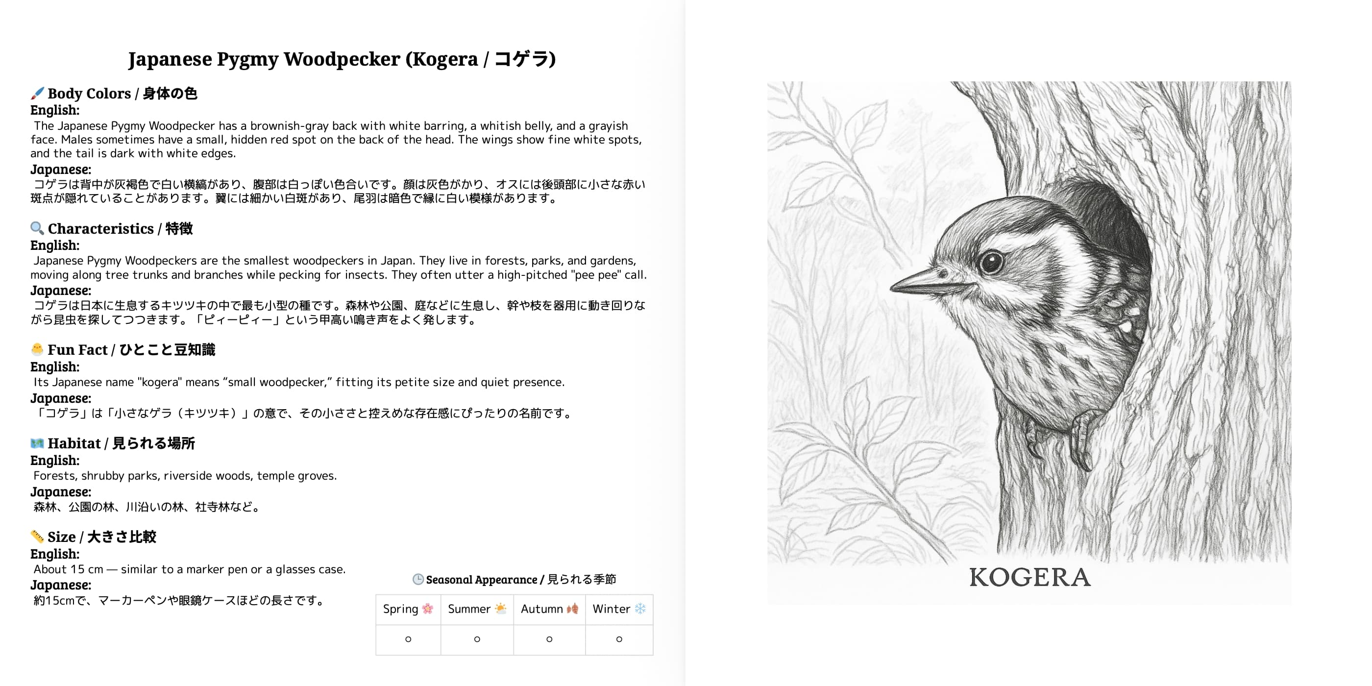Japanese Wild Birds Series Vol.3 sample 2