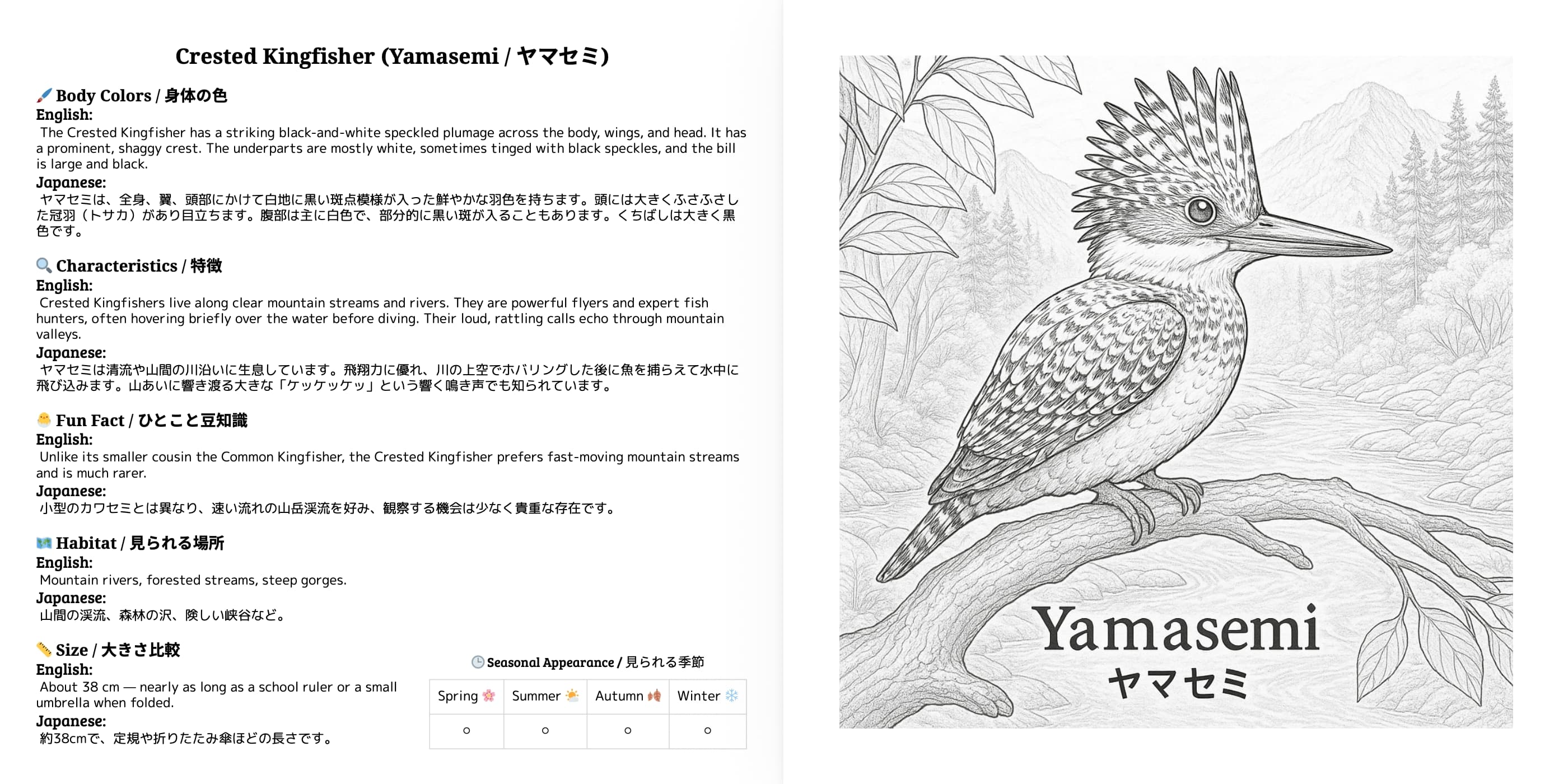 Japanese Wild Birds Series Vol.3 sample 4