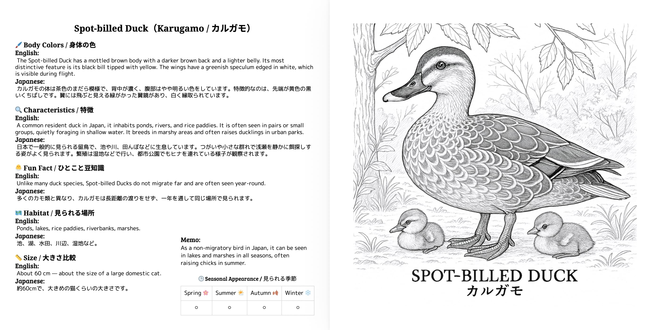 Japanese Wild Birds Series Vol.4 sample 1