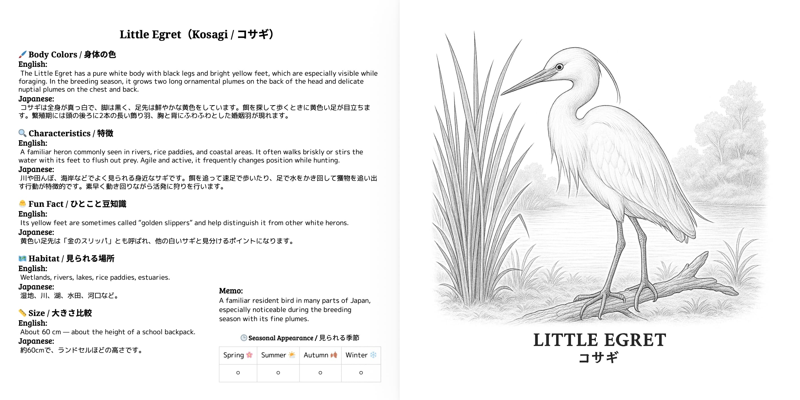 Japanese Wild Birds Series Vol.4 sample 3