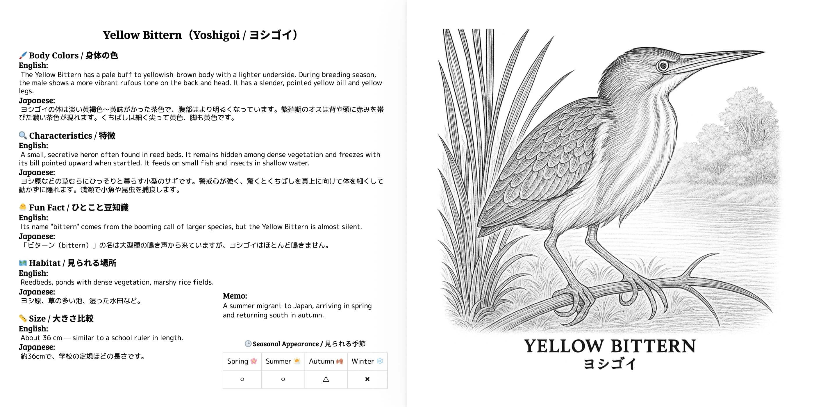 Japanese Wild Birds Series Vol.4 sample 4