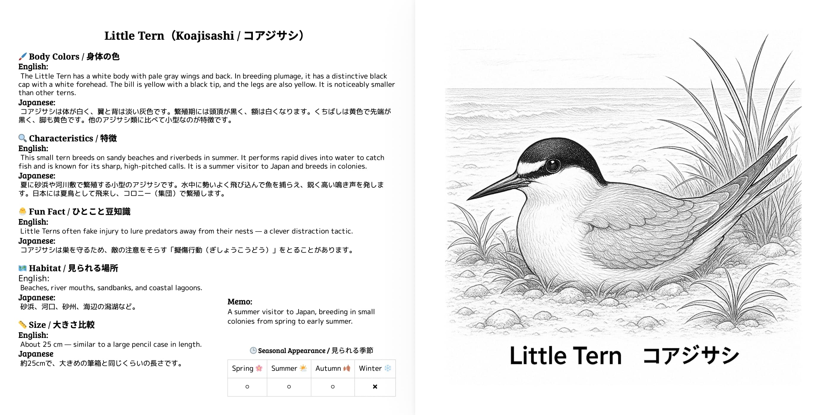 Japanese Wild Birds Series Vol.5 sample 2