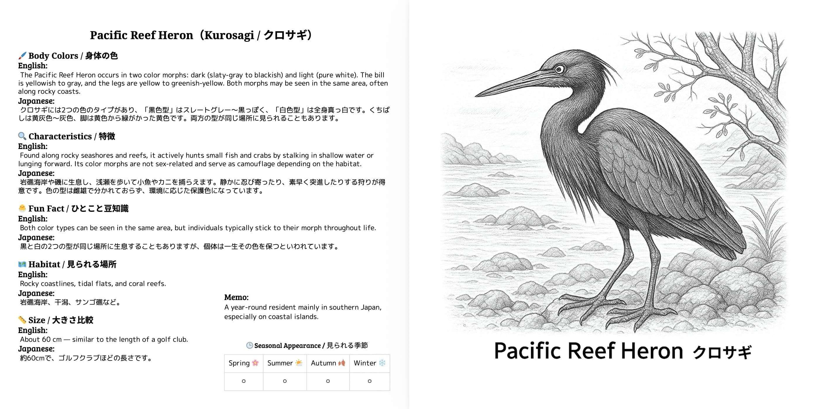 Japanese Wild Birds Series Vol.5 sample 3