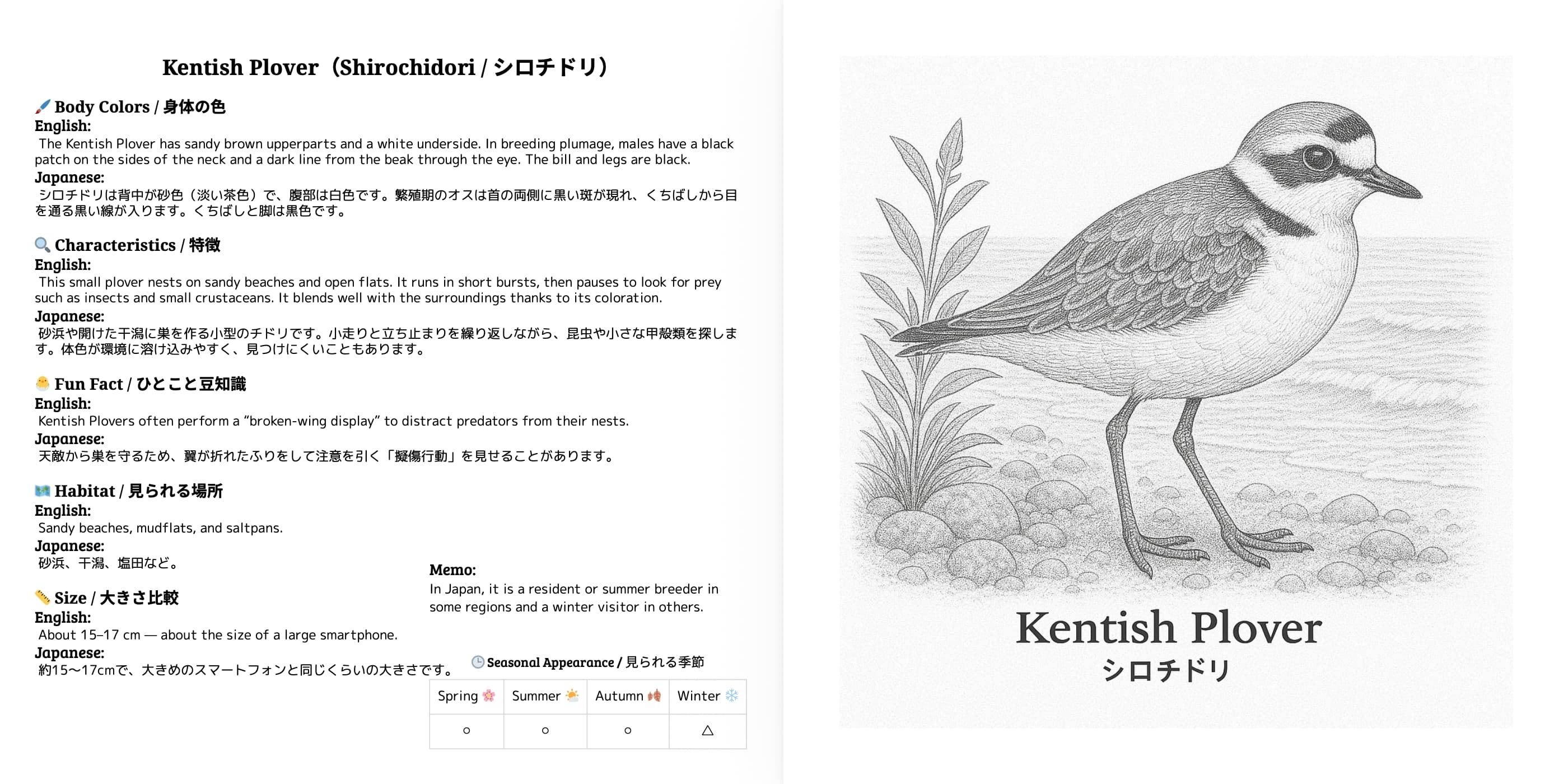 Japanese Wild Birds Series Vol.5 sample 4