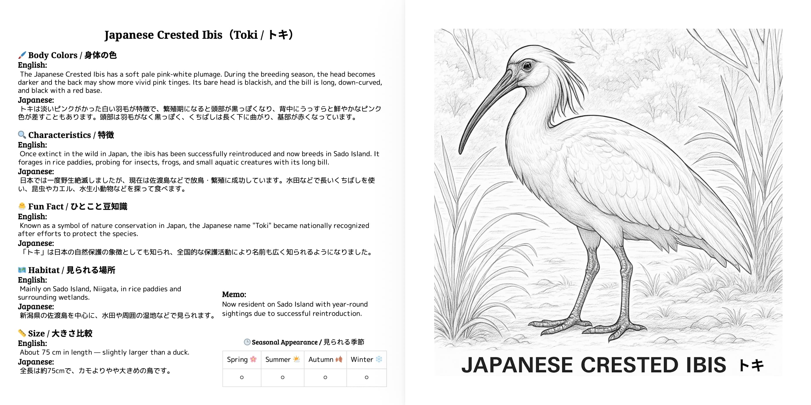 Japanese Wild Birds Series Vol.6 sample 2