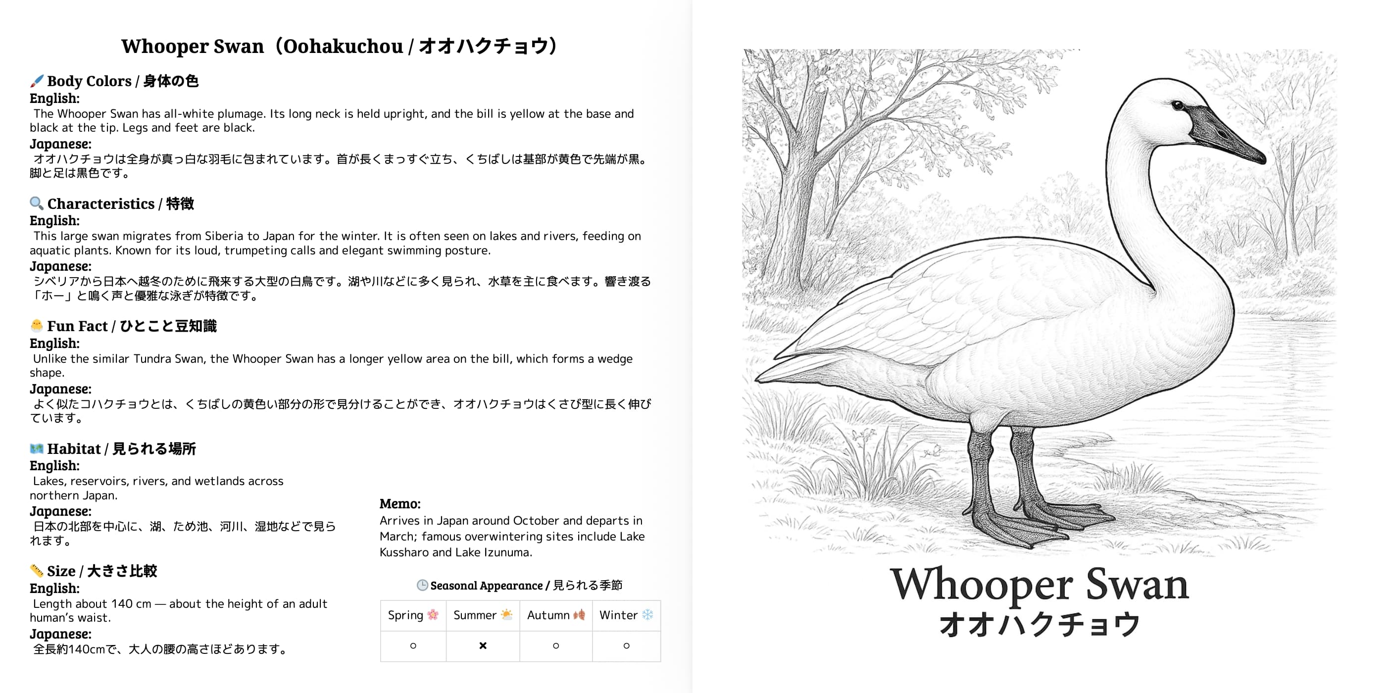 Japanese Wild Birds Series Vol.6 sample 3