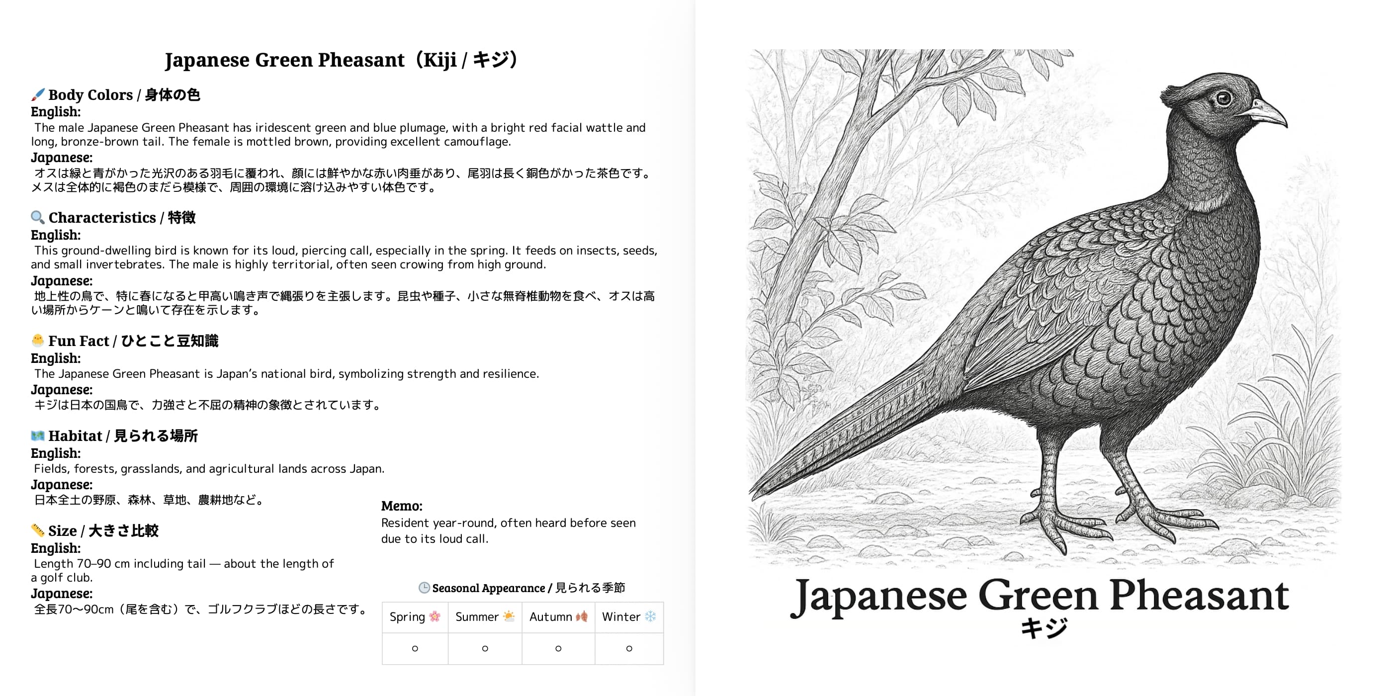Japanese Wild Birds Series Vol.6 sample 4