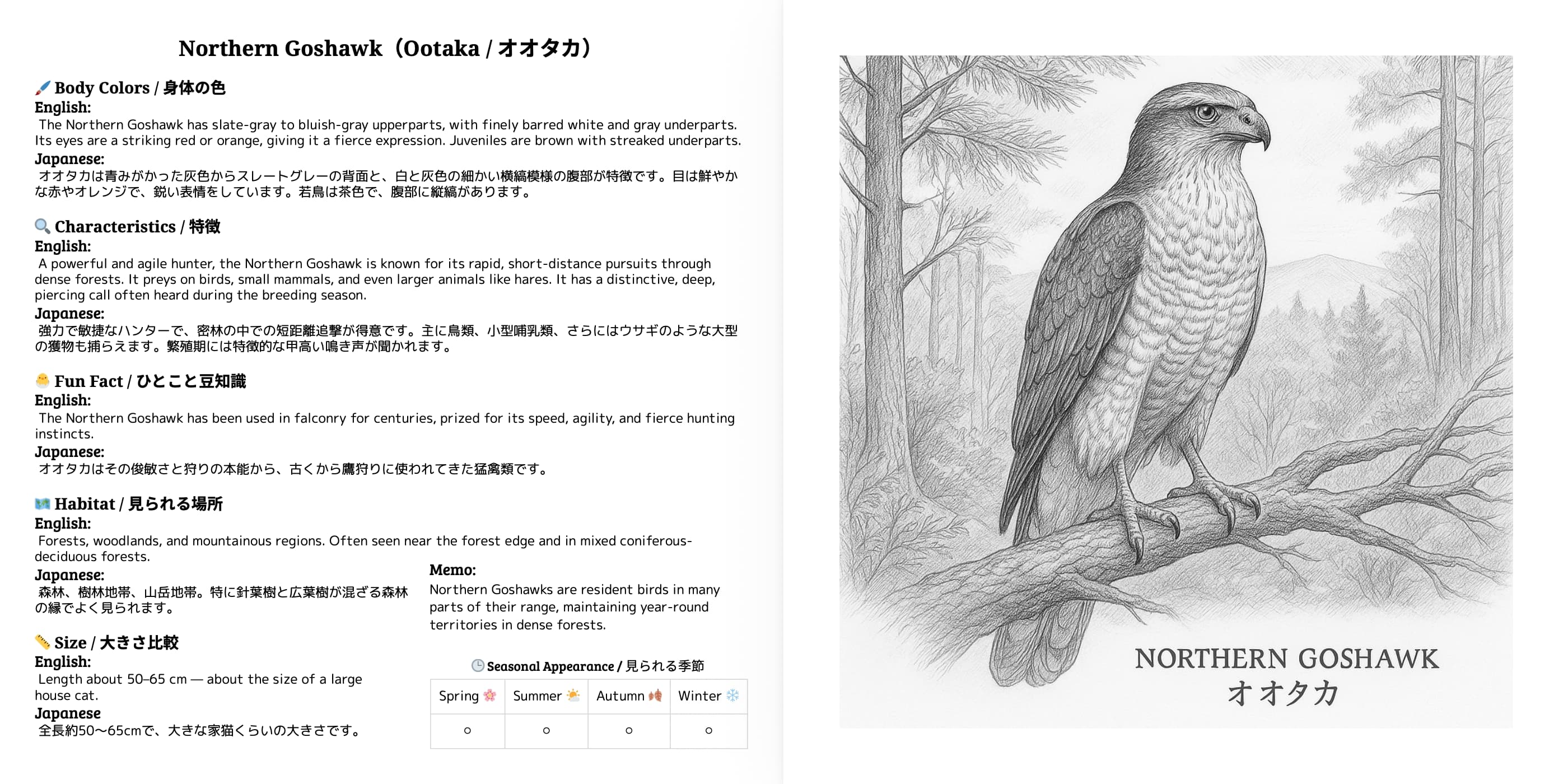 Japanese Wild Birds Series Vol.7 sample 2
