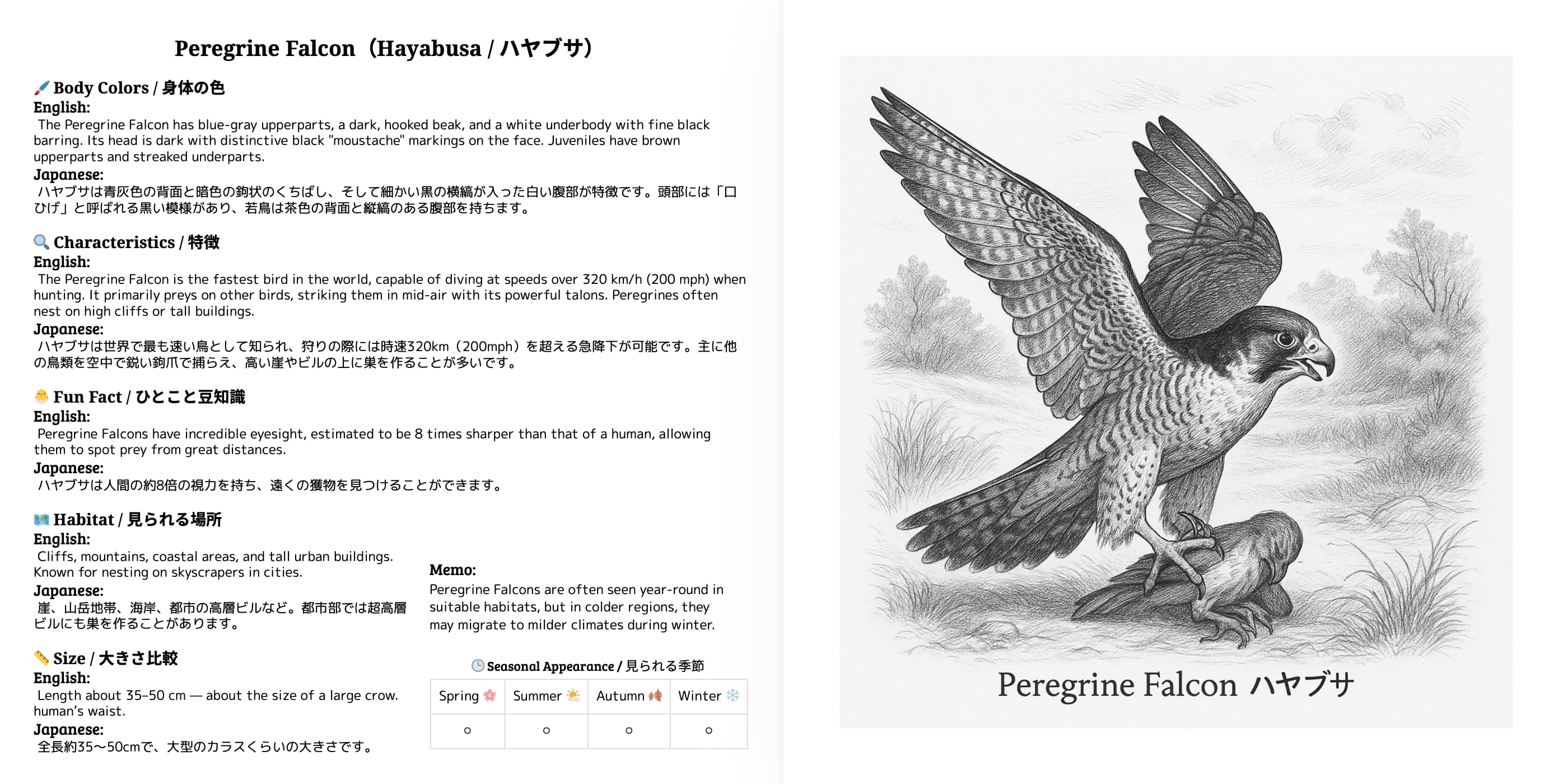 Japanese Wild Birds Series Vol.7 sample 3