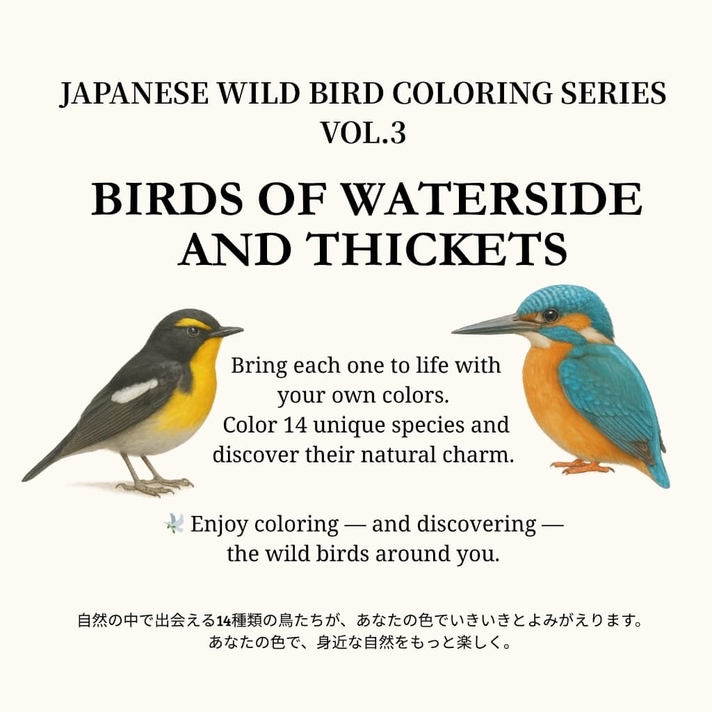 日本の野鳥ぬりえシリーズ Vol.3（水辺とやぶの鳥たち）