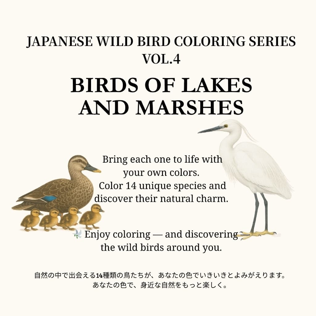 日本の野鳥ぬりえシリーズ Vol.4（湖と湿地の鳥たち）