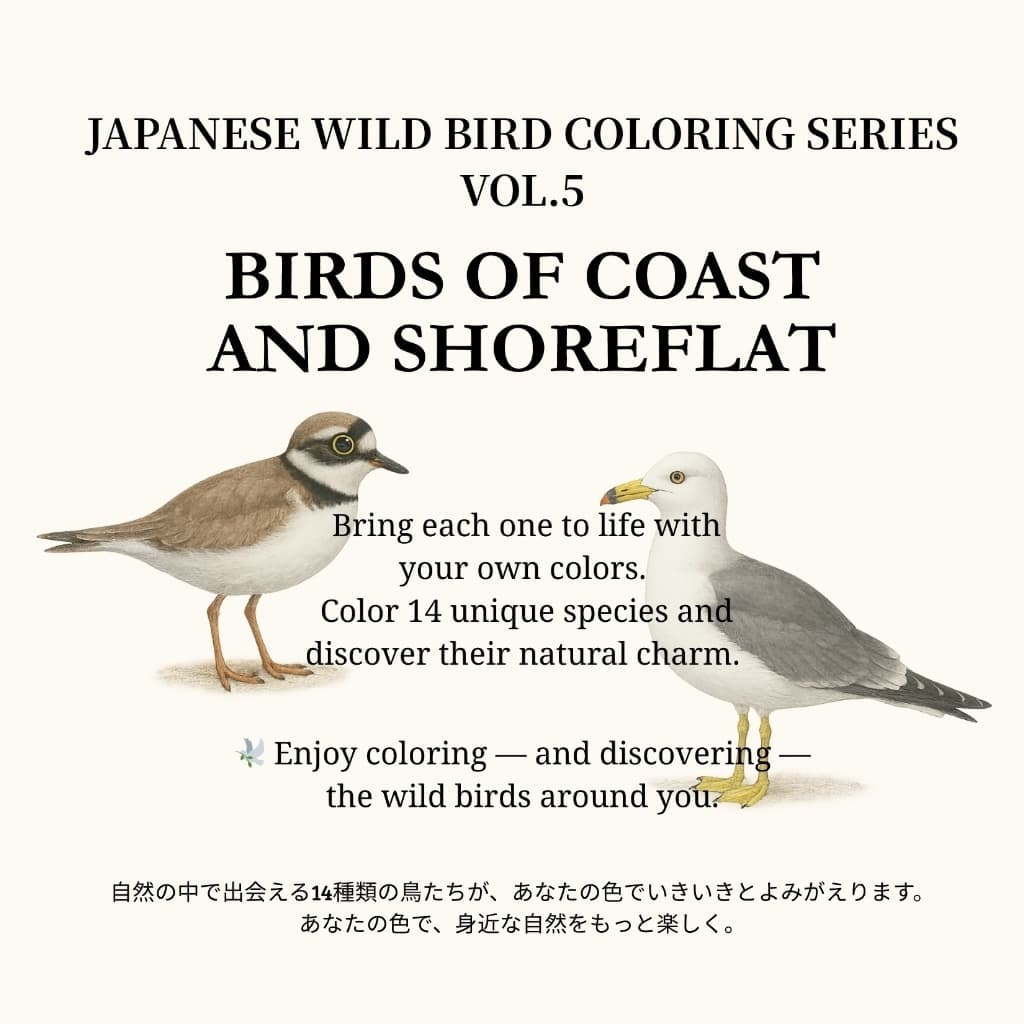 日本の野鳥ぬりえシリーズ Vol.5（海岸と干潟の鳥たち）