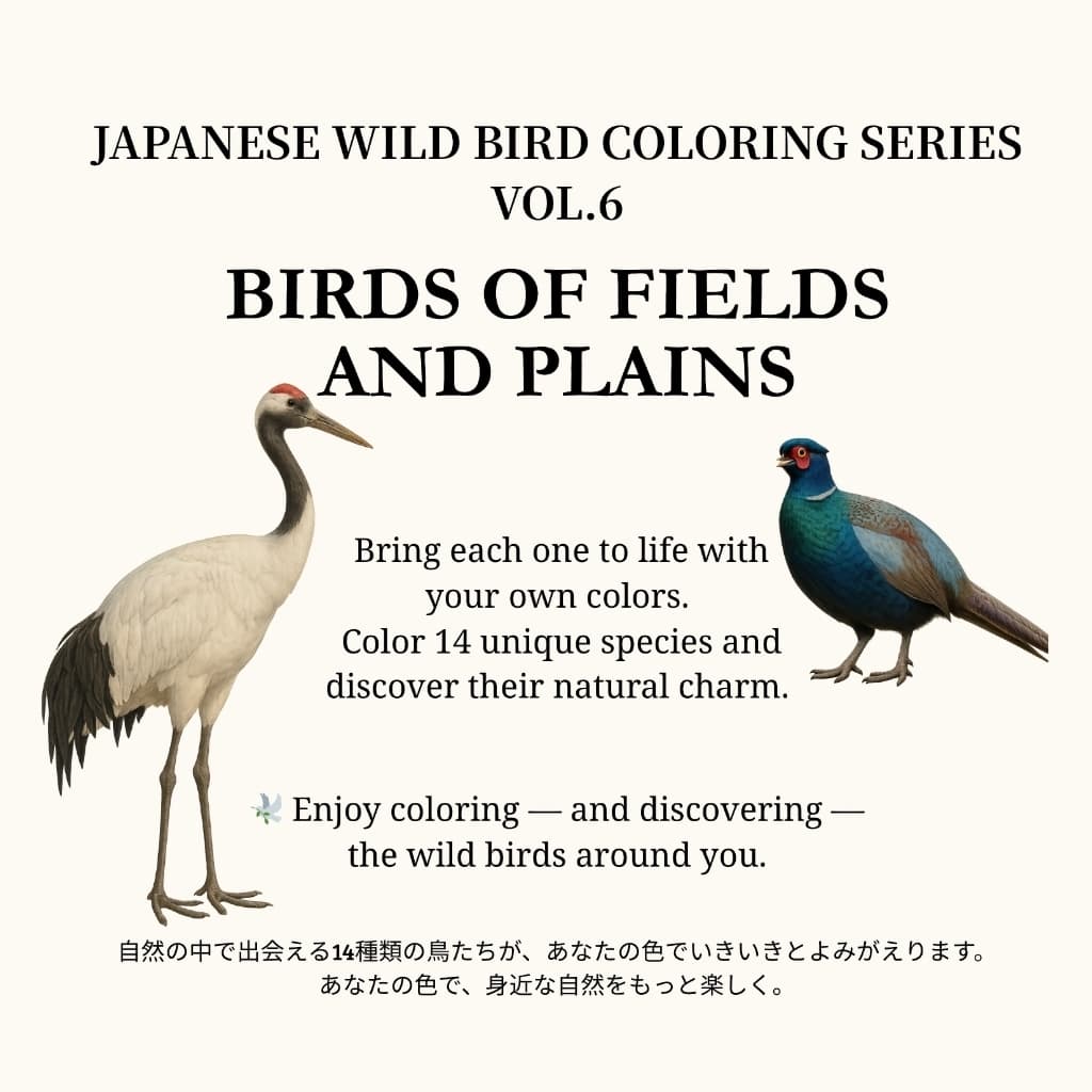 日本の野鳥ぬりえシリーズ Vol.6（野原と平原の鳥たち）