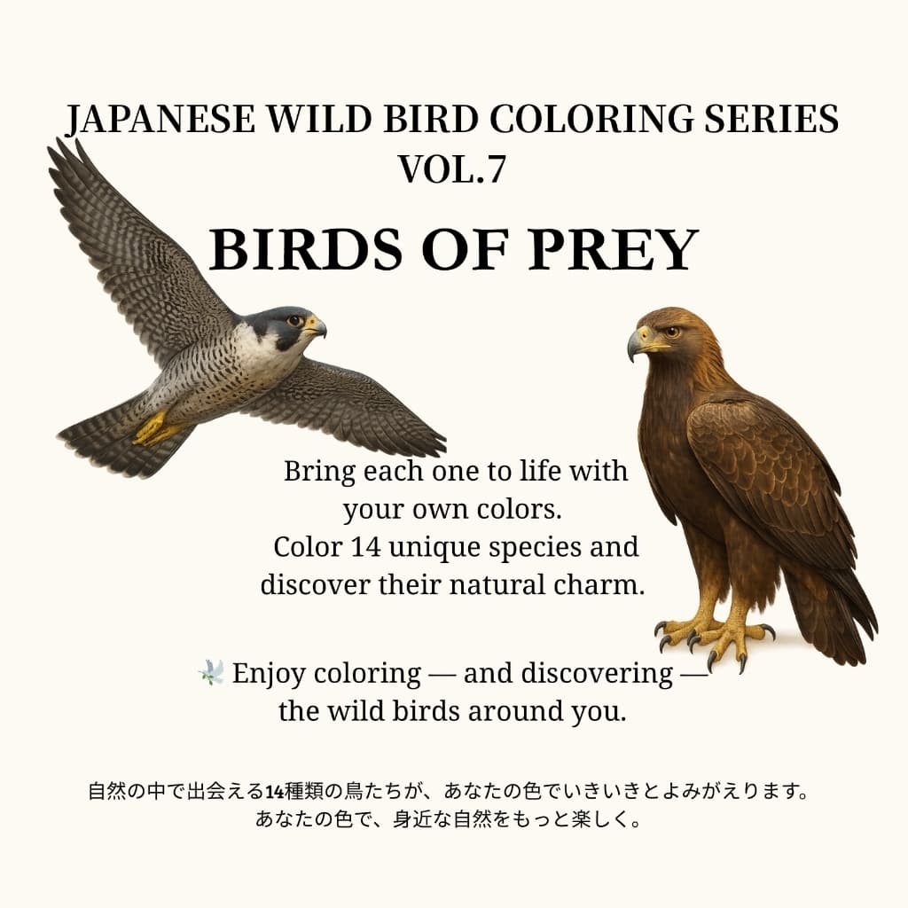 日本の野鳥ぬりえシリーズ Vol.7（猛禽たち）