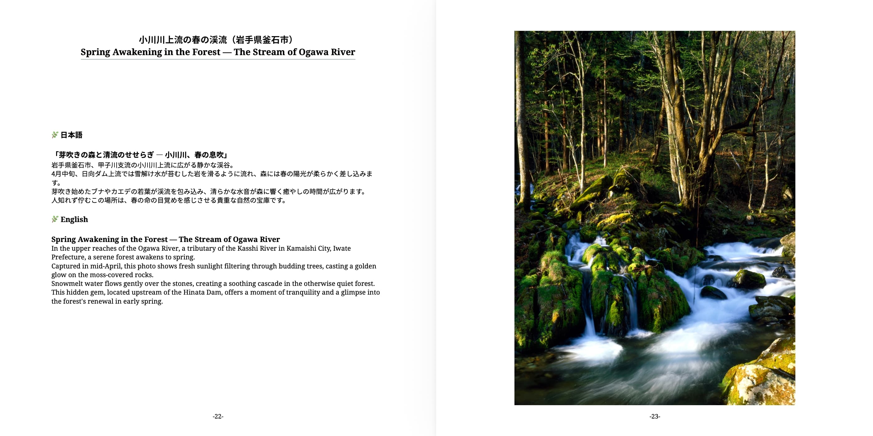 Fascinated by Mountains and Nature sample 1