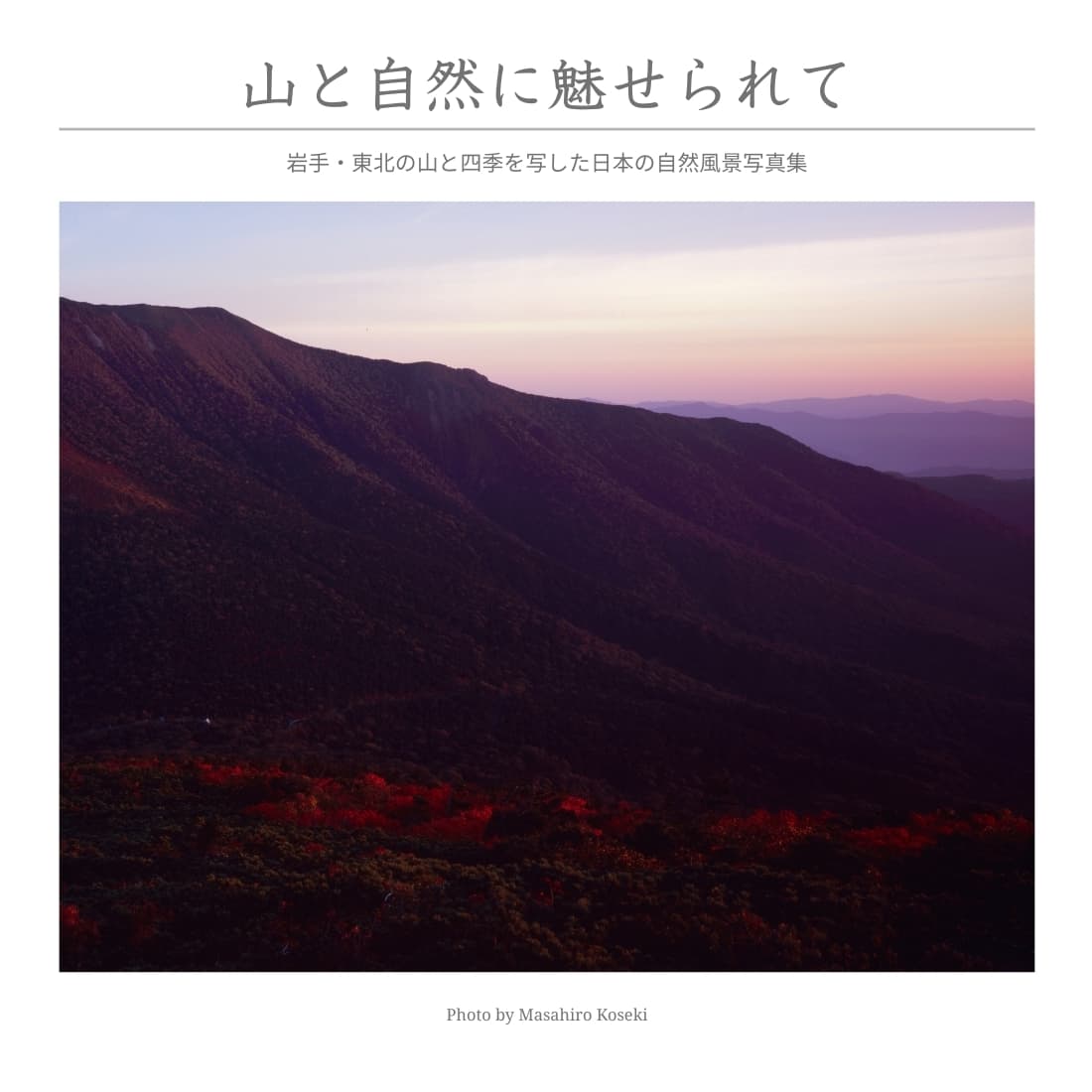 山と自然に魅せられて